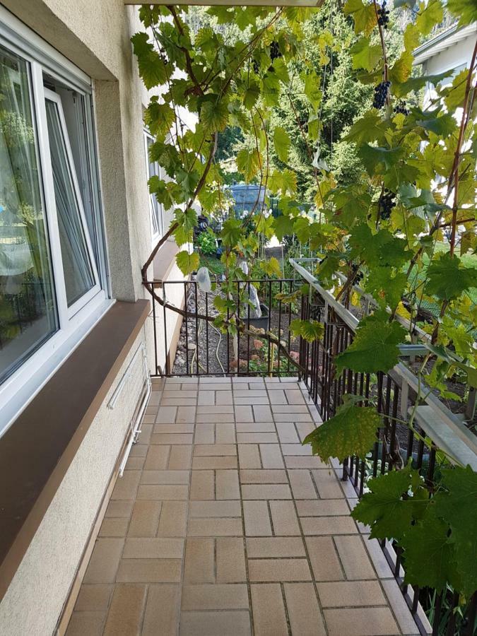 Schamne Apartment *